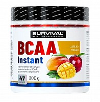 Survival BCAA Instant 300 g.